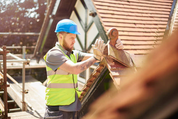 Roof Gutter Cleaning in Bangor, PA